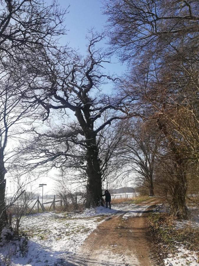 Gaestehaus Kibbel Bosau Buitenkant foto